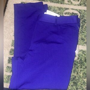 Liz Claiborne Men's Vibrant Blue Dress Pants